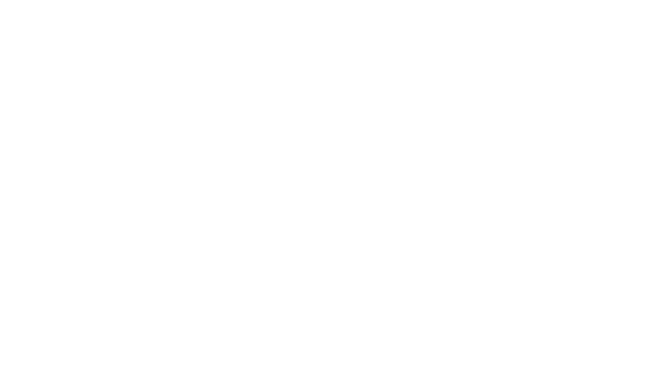 Finnpilot logo